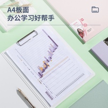 得力64519發(fā)泡PP豎款折頁板夾(混)(個(gè))