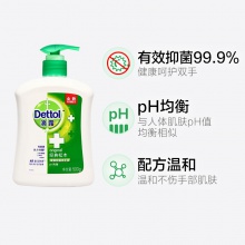 滴露Dettol健康抑菌洗手液經(jīng)典松木500g 抑菌99.9%