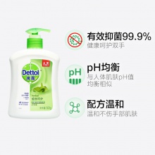 滴露Dettol健康抑菌洗手液植物呵護(hù)500g 抑菌99.9%