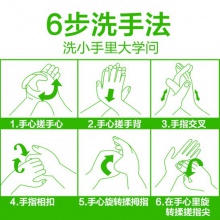 滴露Dettol 免洗抑菌洗手液 經(jīng)典松木 200ml/瓶 泰國(guó)進(jìn)口 免洗手 兒童家用 含酒精成分