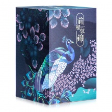得力21717頤和園前程似錦便簽本(綠)-860頁(yè)（包）