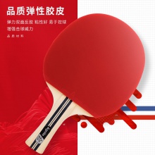 安格耐特F2318二星乒乓球拍(紅+黑)(橫拍)(單支裝)