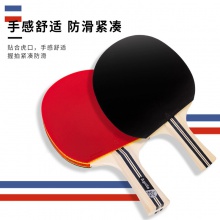 安格耐特F2318二星乒乓球拍(紅+黑)(橫拍)(單支裝)