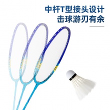 安格耐特F2102羽毛球拍(藍(lán)色)(2個(gè)/副)