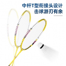 安格耐特F2103羽毛球拍(藍+黃)(2支/副)(帶三球)