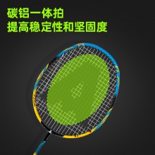 安格耐特F2106羽毛球拍(黃色)