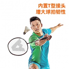 安格耐特F2109全碳一體羽毛球拍(藍(lán))(單支裝)