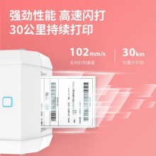 DL-888TW條碼標(biāo)簽打印機(jī)(白)(臺(tái))