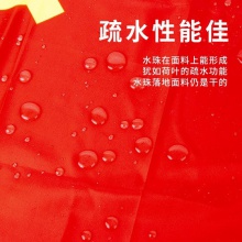 得力4225-5號黨旗(紅色)(面)