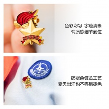 得力50560少先隊徽(金色)(6枚/袋)